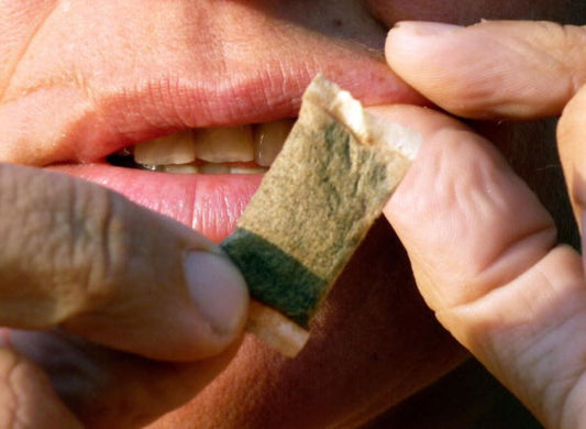 5 MOMENTOS DO SEU DIA EM QUE O SNUS FAZ TODA A DIFERENÇA