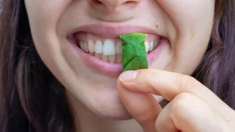 GUIA PRÁTICO: COMO UTILIZAR O SNUS CORRETAMENTE
