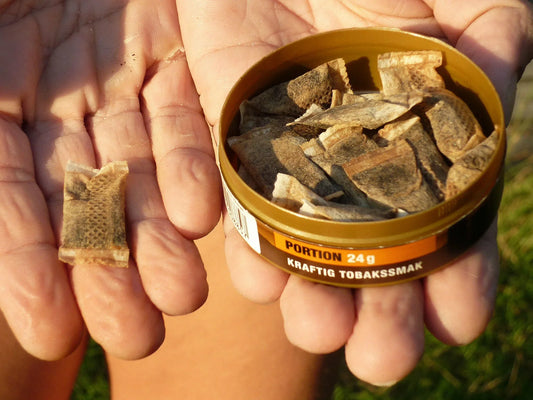 QUAL SEU TIPO DE SNUS? DESCUBRA SEU PERFIL DE USUÁRIO