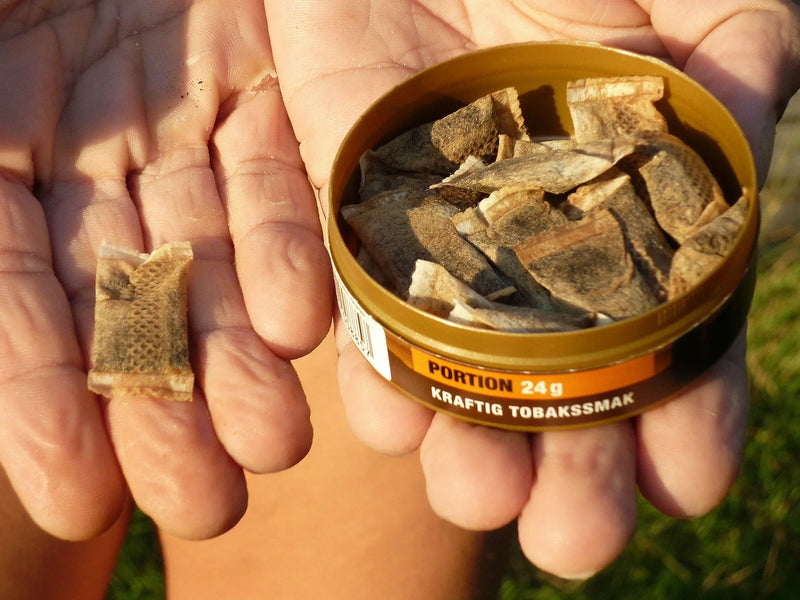 QUAL SEU TIPO DE SNUS? DESCUBRA SEU PERFIL DE USUÁRIO