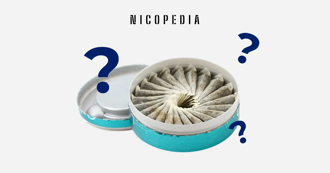 O QUE SÃO SNUS DE NICOTINA?