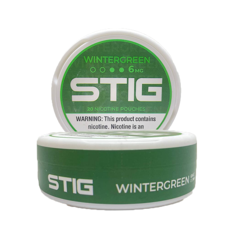 STIG Pouches – Wintergreen 6MG