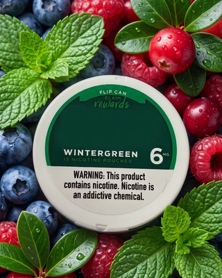 Pouches de Nicotina Wintergreen