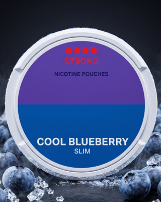 Pouches de Nicotina Cool Blueberry